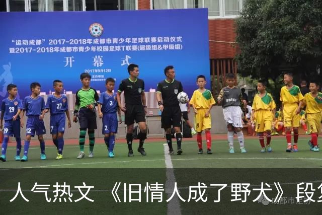 人气热文 《旧情人成了野犬》段复津谈轻棠 谈雾亦段珩常