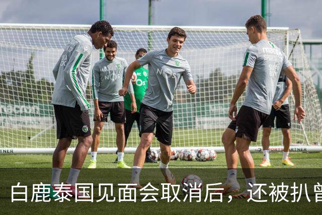 白鹿泰国见面会取消后，还被扒曾为缅北拍宣传片，知情人爆料更多
